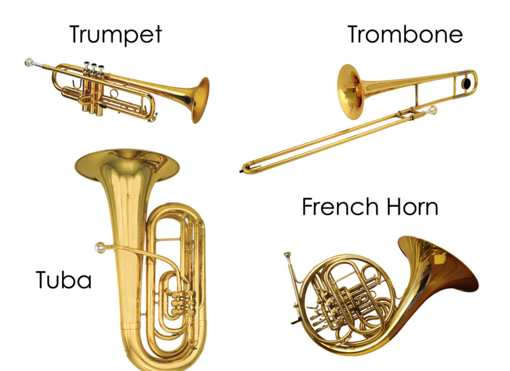 Brass Family